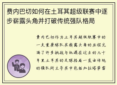 费内巴切如何在土耳其超级联赛中逐步崭露头角并打破传统强队格局