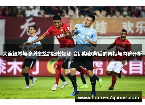 大连鲲城与穆谢奎签约细节揭秘 合同条款背后的真相与内幕分析 大连鲲城与穆谢奎签约细节揭秘 合同条款背后的真相与内幕分析